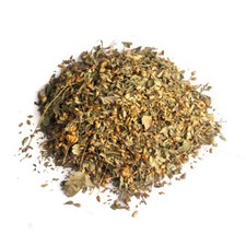 Calea zacatechichi ( Mexican