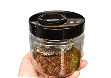 Tarantula Spider Slings Insect,Cage,Enclosure.NEW STYLE WITH FEEDING HOLE