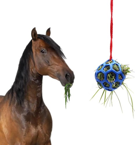 Pet hay feeder ball - hay, ball,horse