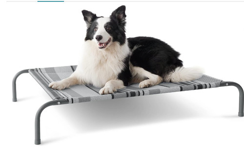Sure raised dog - , bed