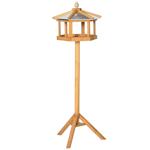 Bird stand feeder - bird,