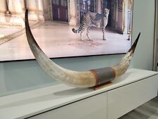 Authentic Real Bull Cow Longhorn Leather Horn Mount Taxidermy 120 CM Steer Horns
