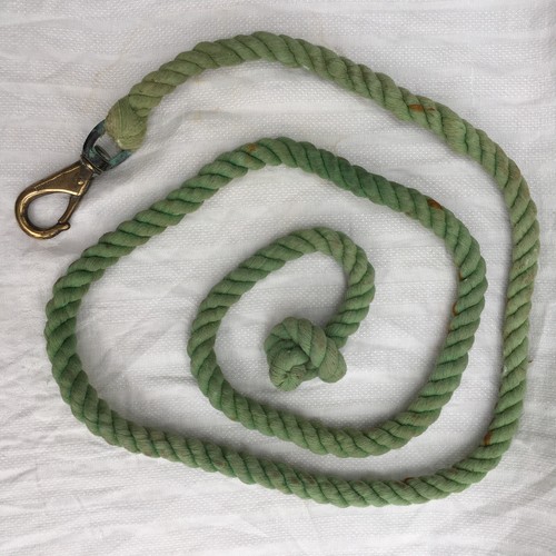 Green horse lead rein - , rope