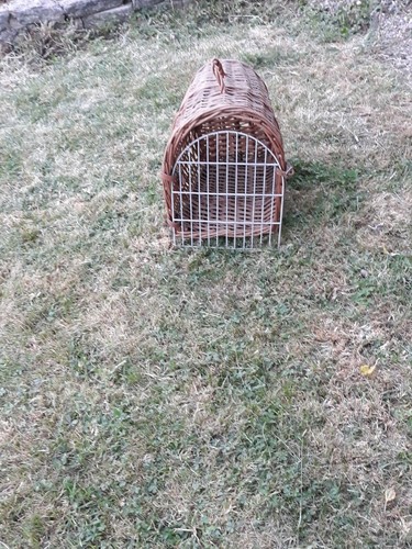 Vintage natural wicker pet - vintage,