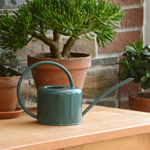 Indoor green coloured watering - green,
