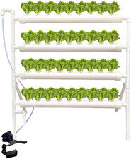 Hydroponic Plant Growing