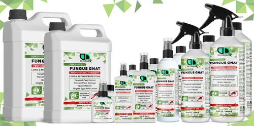 100 natural fungus - 100%, gnat