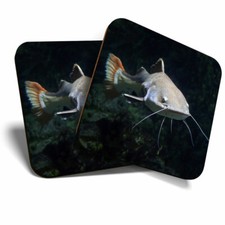 2 x Coasters - Awesome Redtail