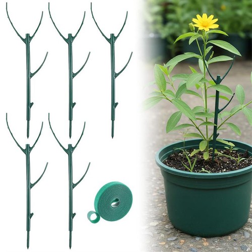 Pack plant support - pack,