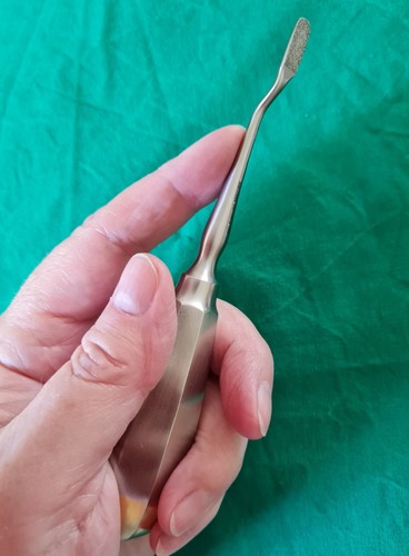 Diamond coated molar - rasp, for