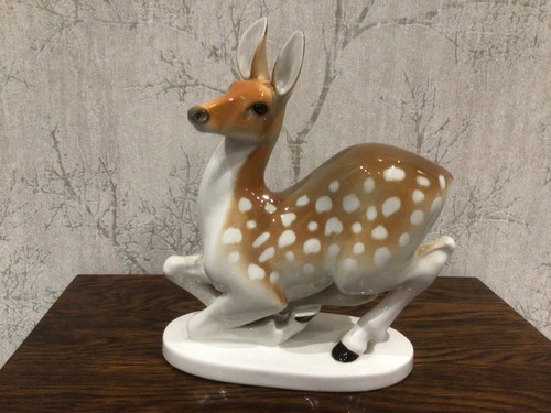 Lomonosov female doe 14h x - doe,