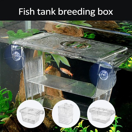 Aquarium fish breeder box - aquarium,