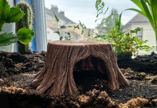 Reptile tree stump hide - tree, |