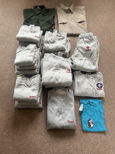 Vintage grey beaver scout - grey,