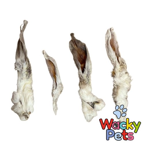 Dog treats furry hairy rabbit - treats,