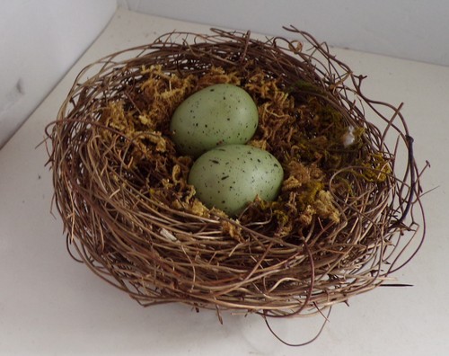 Birds nest pick with aqua - with,