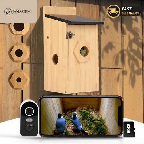 4mp bamboo smart - 4mp, bird