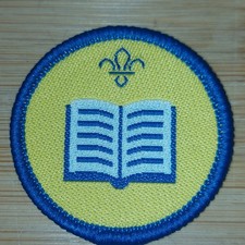 UK Scouting Current Beaver