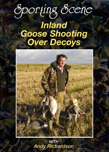 Inland goose shooting - inland, over