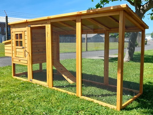 Chicken coop run hen - chicken,