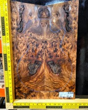 Elm Burl Guitar Top Set