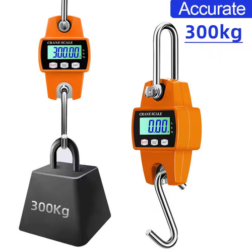 300kg mini crane scale - mini,