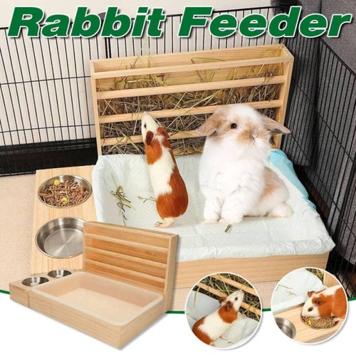 Rabbit hay feeder with - rabbit,