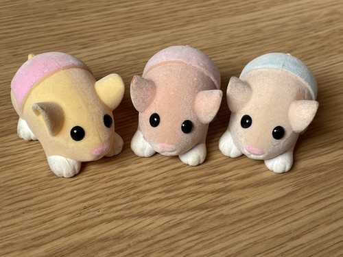 Zhu pets baby babies - zhu,