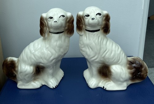 Staffordshire style spaniel - staffordshire,