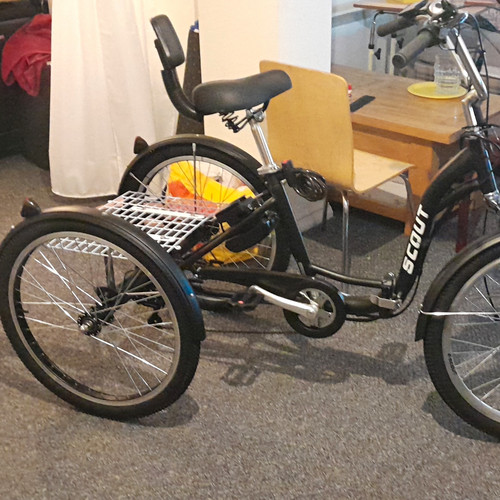 Scout unisex kids tricycle - unisex,