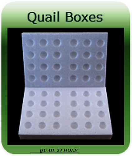 Quails hole polystyrene - x, 24
