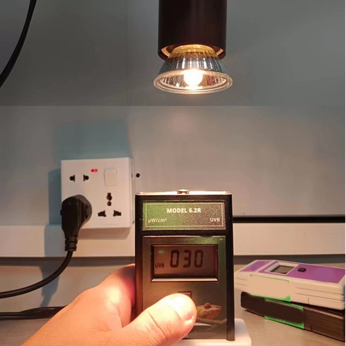 Bulb for reptile heat - reptile, lamp