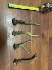 4 X Roe Deer Antlers