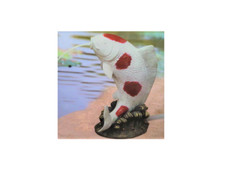 BERMUDA KOI CARP GARDEN