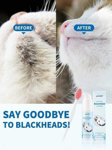 Cat chin acne - cat,