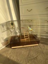 Gorgeous Retro Looking Gold