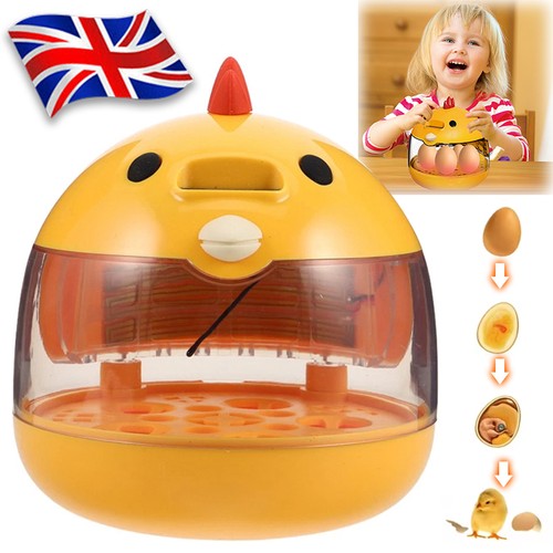 Eggs incubator chicken - 5,