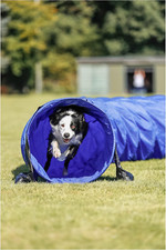 Trixie Dog Activity Agility Basic Tunnel, 60 Cm ﾗ 5 M, Blue