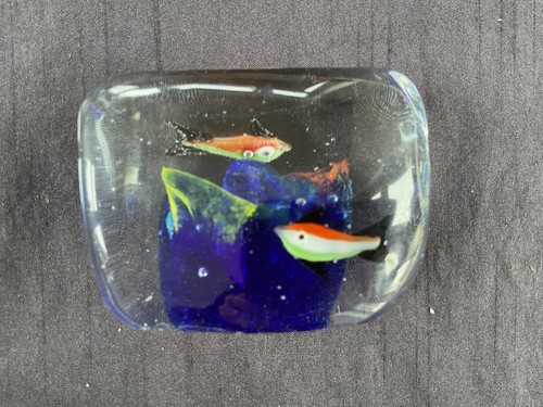 Murano fish tank - murano,