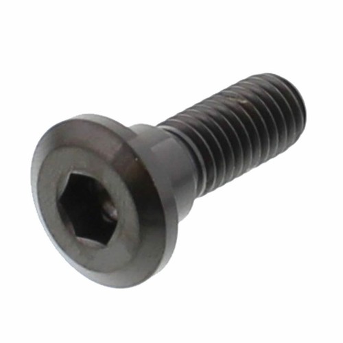 Brake disc bolt - disc, m8x1.25