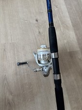 Daiwa Bass Rod And Mackerel