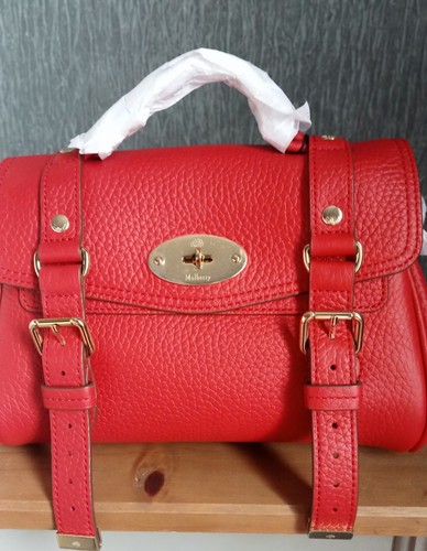 Stunning mulberry mini - mulberry,