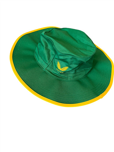 South africa coe odi - africa, (floppy)