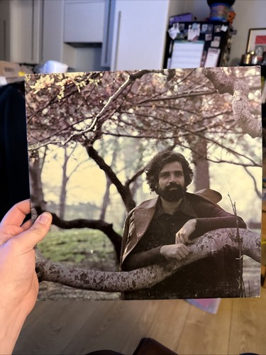 Felix cavalier destiny - felix, vinyl