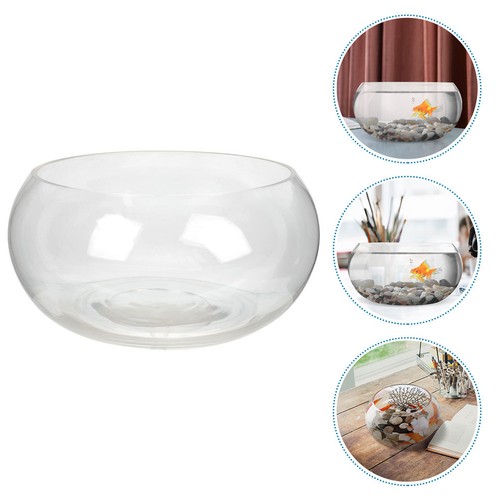 Glass fish tank - glass,