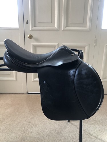 John whitaker - whitaker, 17”