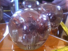 Beautiful Natural Floral