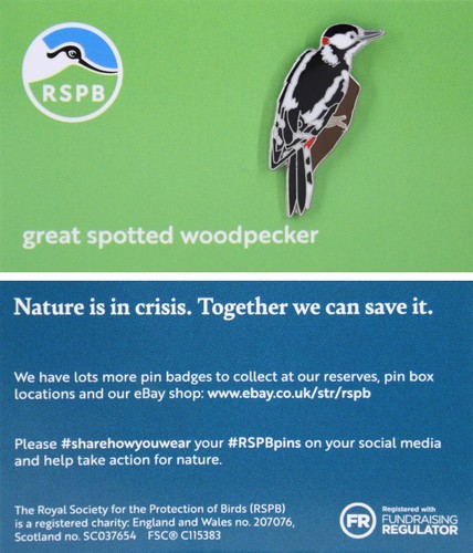 Rspb pin badge niic - badge, great
