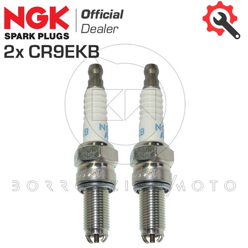 Pair spark plugs - pair, cr9ekb