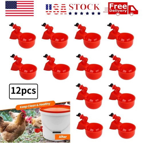 12pcs chicken automatic - chicken,